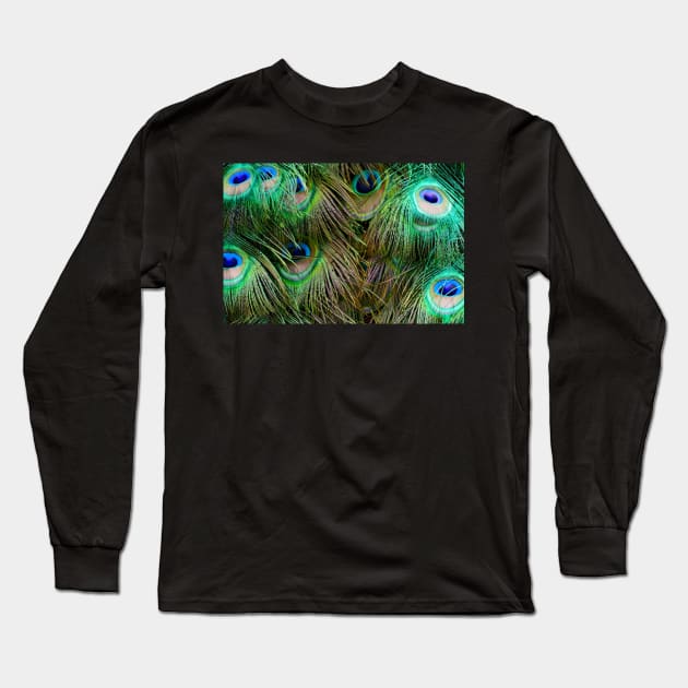 Peacock Feathers Long Sleeve T-Shirt by Rob Johnson Photography